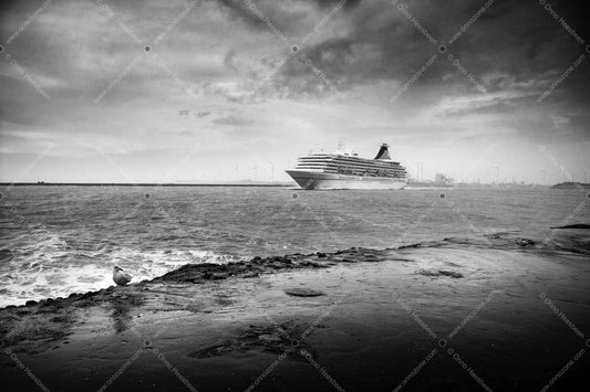 MS Artania #1.2 | Premium Giclée Print on Luster Paper | Long-Lasting Pigment Ink