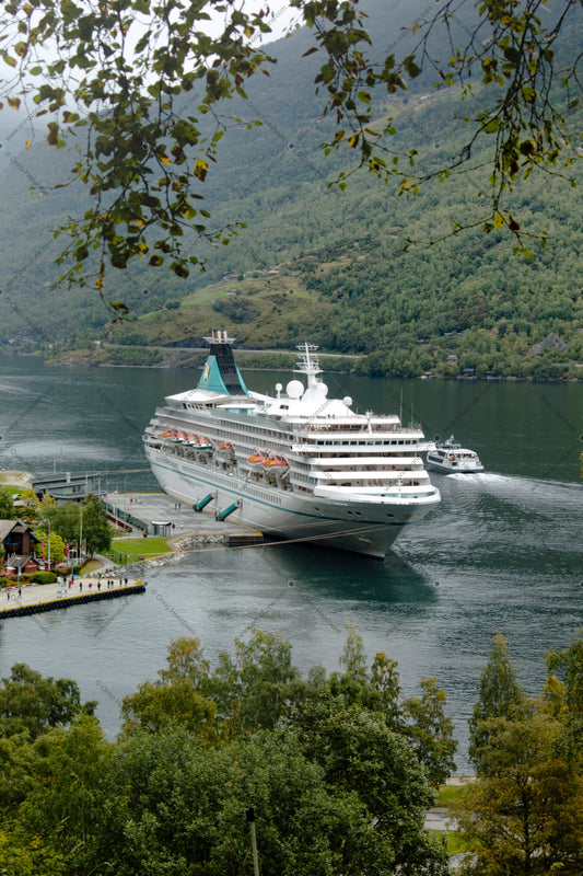 MS Artania #2.2 | Premium Giclée Print on Luster Paper | Long-Lasting Pigment Ink