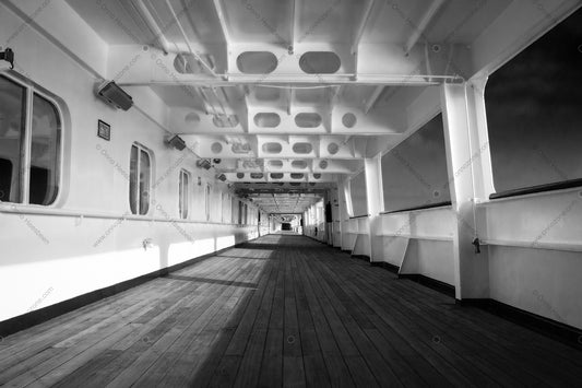 MS Renaissance #2.3 | Premium Giclée Print on Luster Paper | Long-Lasting Pigment Ink