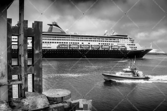 MS Renaissance #2.4 | Premium Giclée Print on Luster Paper | Long-Lasting Pigment Ink